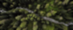 River_edited.jpg